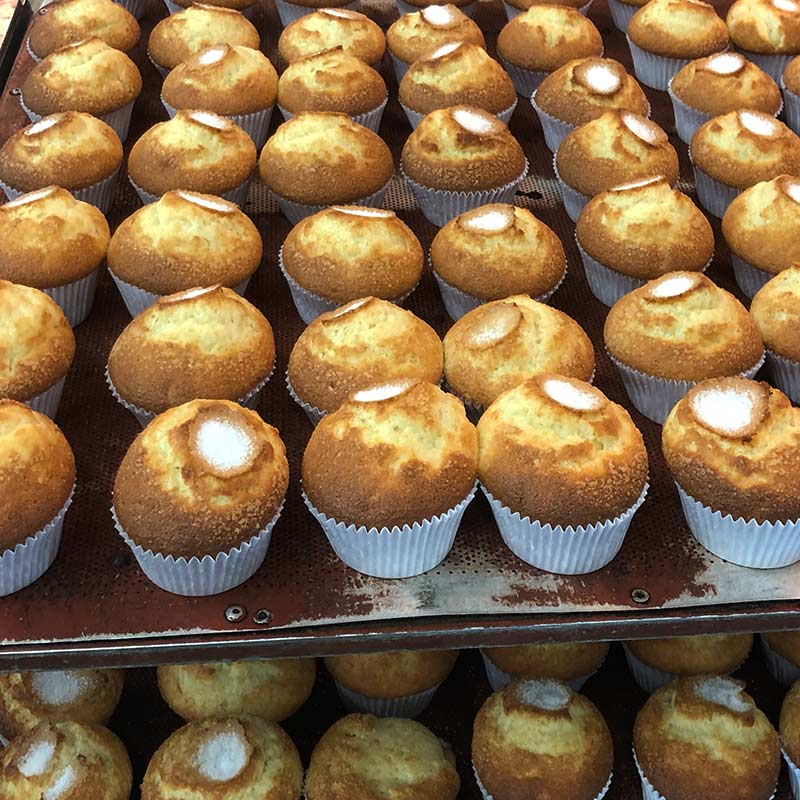 Magdalenas artesanas 8 unidades. 350 grs. Horno Tradicional.