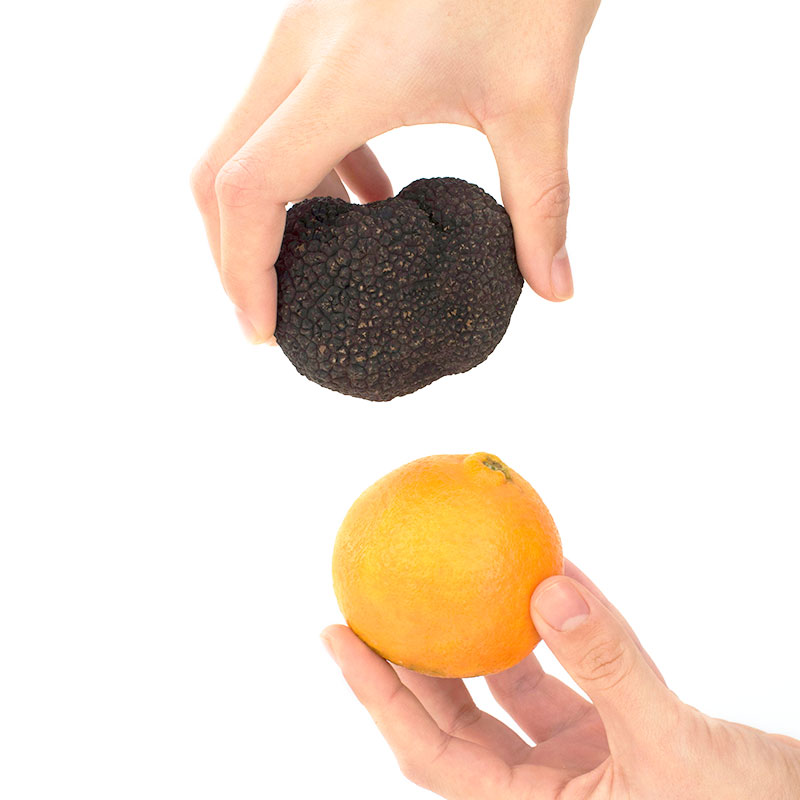 Trufa Fresca. Tuber Melanosporum Origen Teruel. 100/125 grs. Manjares de la Tierra