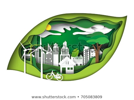 Conservas Ecol&oacute;gicas.