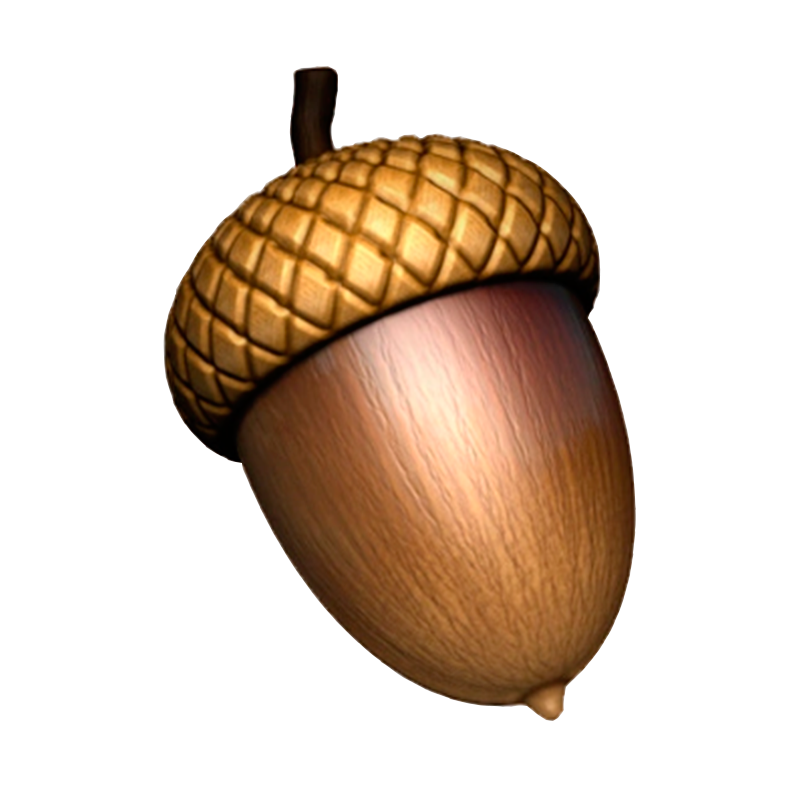 Ib&eacute;ricos de Bellota